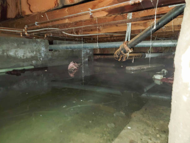 Best Commercial water damage restoration  in Seminole, TX
