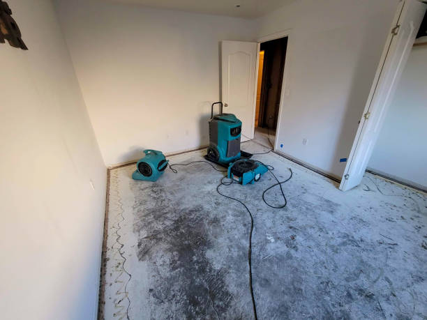 Carpet water damage restoration in TX