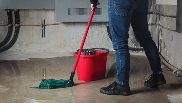 Best Local water damage restoration  in Seminole, TX