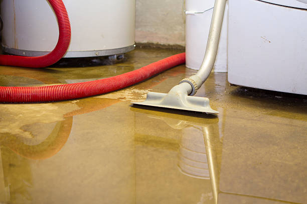 Best Carpet water damage restoration  in Seminole, TX