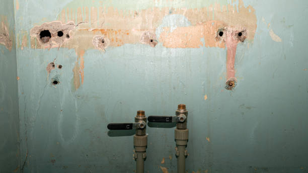 Best Flooded house restoration  in Seminole, TX