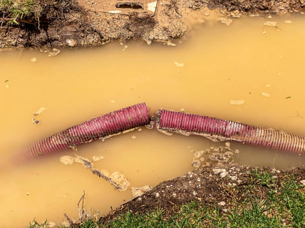 Best Sewage cleanup and water damage restoration  in Seminole, TX